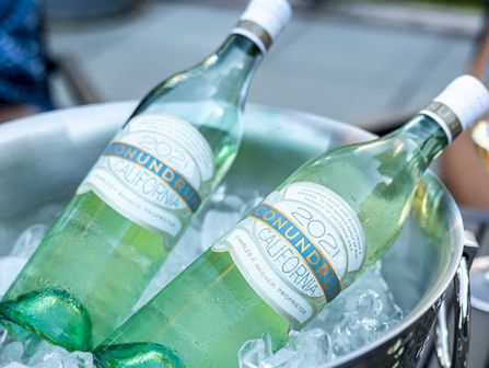 Two green glass bottles of mineral water chilling in an ice bucket, with a person holding a wine glass in the background.