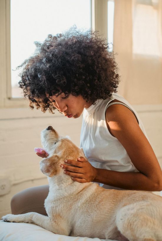 A woman with curly hair sits on a bed, gently stroking a light-colored dog that yawns, inside a bright, sunlit room.