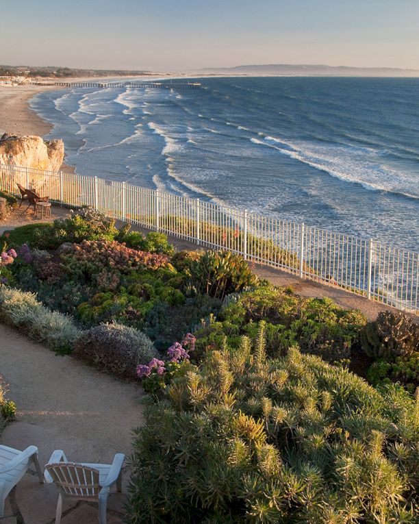 A coastal garden with a path, white chairs, and a fence overlooking a sunny beach and ocean. (140 characters)