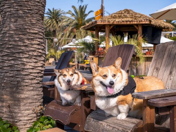 Cottage Inn By The Sea