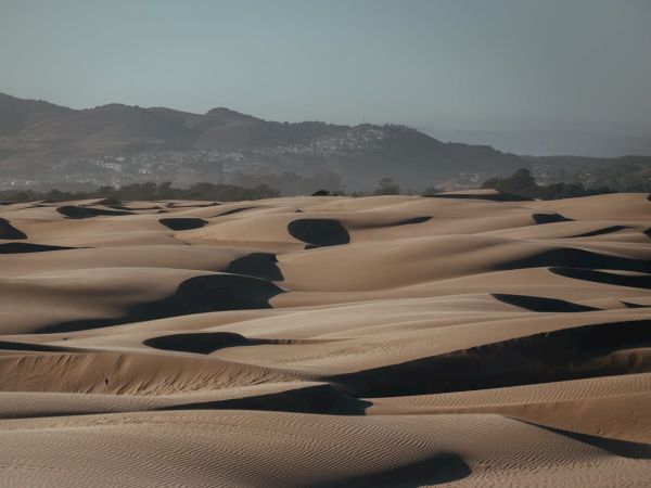 Desert dunes with wind-sculpted ridges, golden sand shadows, and distant hills under a clear sky, a tranquil, arid landscape.