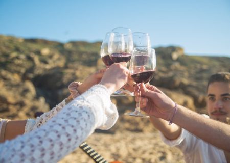 A group toasting with wine glasses outdoors on a sunny rocky landscape, cheers raised toward the camera.
