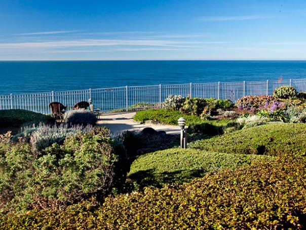 A seaside garden with trimmed hedges, flowering shrubs, and a white fence overlooking a blue ocean under a clear sky.